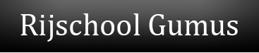 logo rijschool gumus